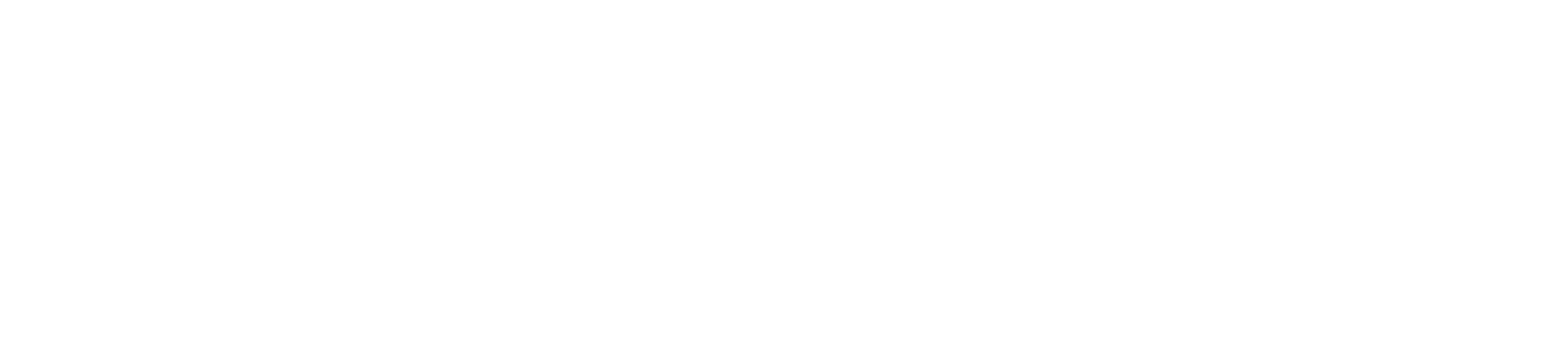 POMè Brno